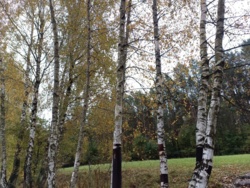 b200377d-cb0d-49d0-bd2a-b2dfd3ba11e9