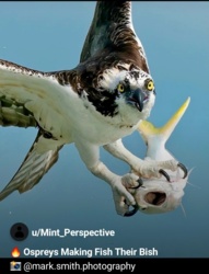 1c1d9ce4-5d93-4048-a199-424d732ac691