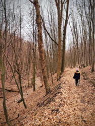 76362eea-3da6-468a-8eb3-33c65806d88e