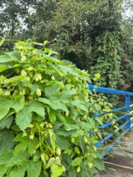 cd470e17-5370-4403-b5e4-59d8a2fc04aa