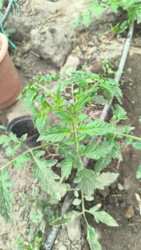 bb8e2e92-5bb4-4424-ab02-65ec4c626ae9