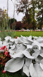 b5dc4469-8ae8-4663-bf2a-fa684a08a5a2