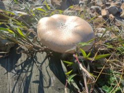 8ee6df3a-7bd2-478f-a20b-3b49b50d7662