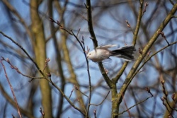 27703a08-f5de-474f-842c-739441ad20e2