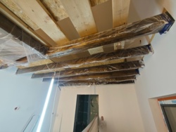 d1a2bffd-11df-4d18-8d46-d8172d994c92