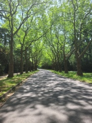 1960b7c4-47ee-4521-b9a4-ba9f635bef40