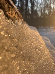 caa541a1-edca-4e7b-a9b7-c5801061c5b2