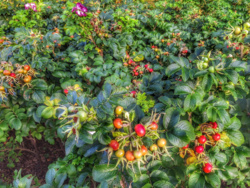 ce7f5465-350d-417d-b662-04b0e585473b