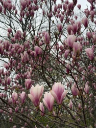 cfa5cfc6-57cc-484b-a186-664366e39332