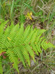 e97d521c-4505-4223-bbac-37b7c56661ec