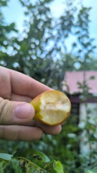 f0472cb9-2432-4957-846f-9e37e49379ec