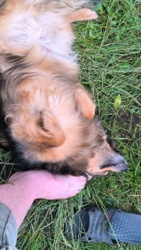 579cb3e1-fdb4-4801-89b5-bb1a507cf939