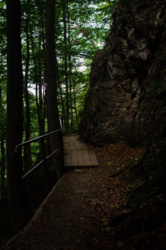 1410872a-ac02-4cbc-be42-26ea1f87a847