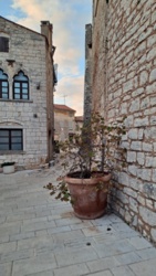 057c1dd9-8034-471c-9ee1-59c67ff9c8f3