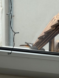 c6fd47fb-9123-447d-a5ef-7832bc6d2bd4