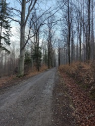 9c619cbe-c858-435a-9773-7a4aa86a4b90