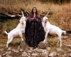 da97d4dc-c562-4eb3-8518-e072c3424de1