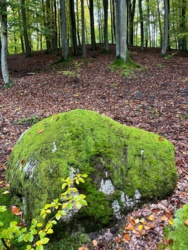 79758d7a-2b08-47d1-ae12-f3648f39c911