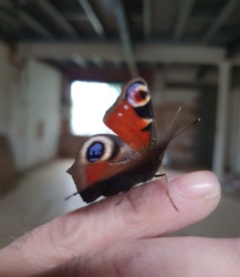 f53adae4-75a6-4247-9775-0ef6d5b2f9bf