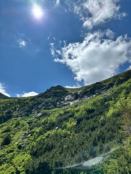 8b02deea-f84f-4f78-92c7-d255718d3fd9