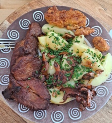 5582627f-c522-435e-bbf2-189981a21b9d