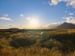 f2b1f53a-090c-4ffa-9312-426d9793216d