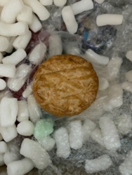 b1ff82bf-9057-4c3f-a557-7c8b4ac34805