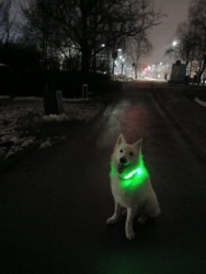 2b9b628f-a545-47f2-ac31-9c1e00e83390