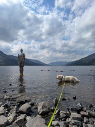 ccd4d46b-b6ff-4a99-adda-4294c325c3f7