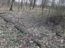 aa85d919-d310-4f6e-9337-098a7ab3d95a