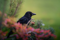 71f6884a-9afb-4a9f-9ce3-5e33fcf757b8