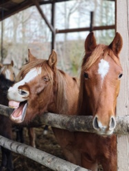 3697a70f-ef73-4c7e-8a6c-8790a05e476d