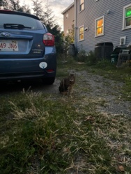 68039e18-6844-4c2b-bd0b-bdd0a2555c8b