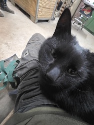 cd01ad88-5397-4c19-bb23-732f8b63454d