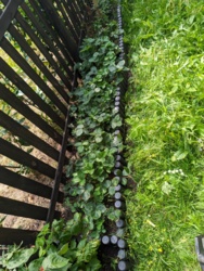 d73109de-bd40-490c-9f1b-f3640e67970f