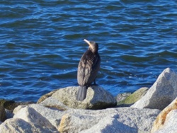 15fbc5c7-809d-4e04-83e6-155d3249a2b3