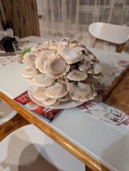 502e0af8-f0be-4ee2-bbae-e7911b28668a