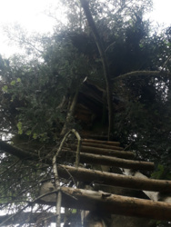 3c7c911f-a550-4d2a-9af4-03f6caa0a31c