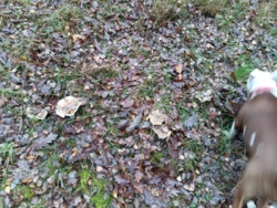 dddc4fc4-d7a4-435e-aac4-b80f4241407d