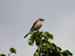 af04cb47-4fbf-4259-8c75-0cb11fcc3214