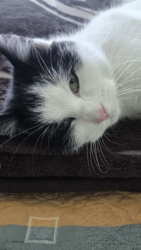 4b5fb1fe-de53-4136-b20d-fa4543b8c776