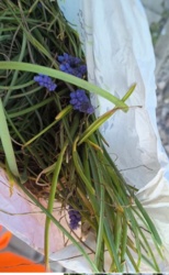 e9a52057-fc90-4a67-8ecf-2d25dea67f78