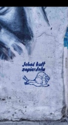 d4019d8d-6af5-4684-89f9-38463cc50506