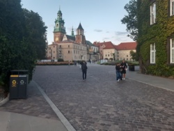 c7973ac8-2c89-4fea-bdc8-84b61ee275d5