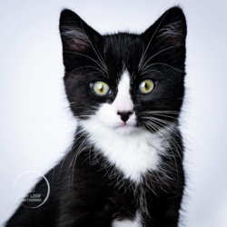 fbb015a2-decb-48d7-95d0-495b06a19b20