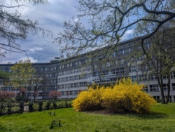 Youtuberzy wtargnęli na krakowski uniwersytet. Uczelnia reaguje