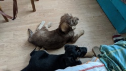 e019aced-6af4-475d-9c55-2fdb78ac2cfd