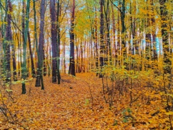 8c24c39d-f35c-4312-8728-ab340e97c2f5