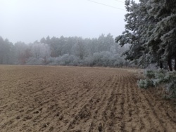 ec109604-5edb-4199-8cd9-a941b7d90884