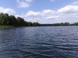 33913883-9a93-40d3-a4ea-e73e3d7c6846